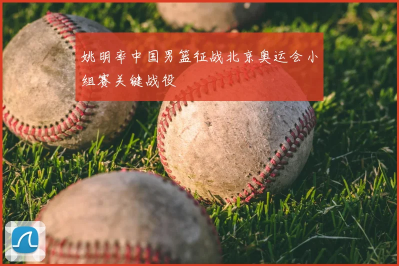 姚明率中国男篮征战北京奥运会小组赛关键战役