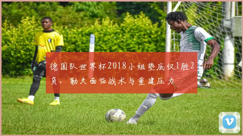 德国队世界杯2018小组垫底仅1胜2负，勒夫面临战术与重建压力