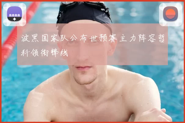 波黑国家队公布世预赛主力阵容哲科领衔锋线