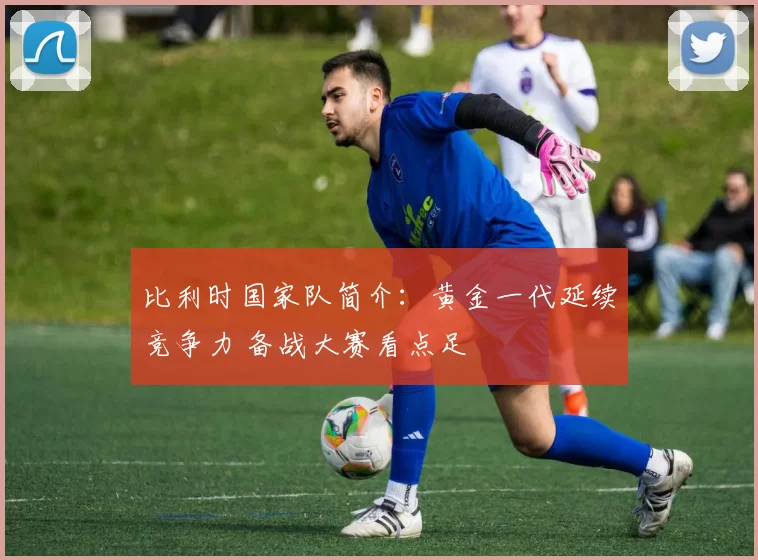 比利时国家队简介：黄金一代延续竞争力 备战大赛看点足