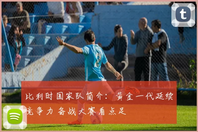 比利时国家队简介：黄金一代延续竞争力 备战大赛看点足